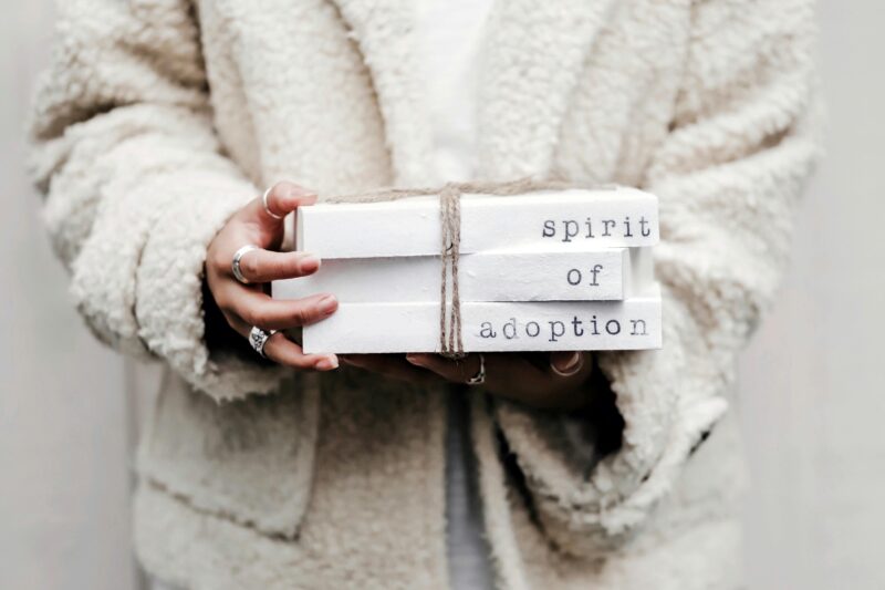 Top Adoption Tips You’ll Wish You Knew Sooner!