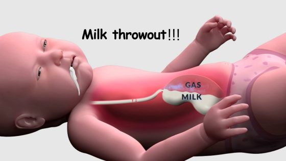 Hoopa Feeding Pillow: 4 Helpful Checks Before Buying