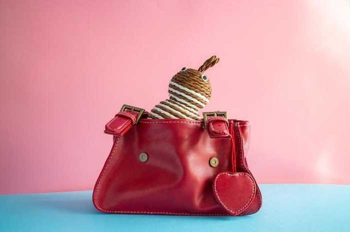 Top Must-Have Baby Accessories Every New Parent Needs!