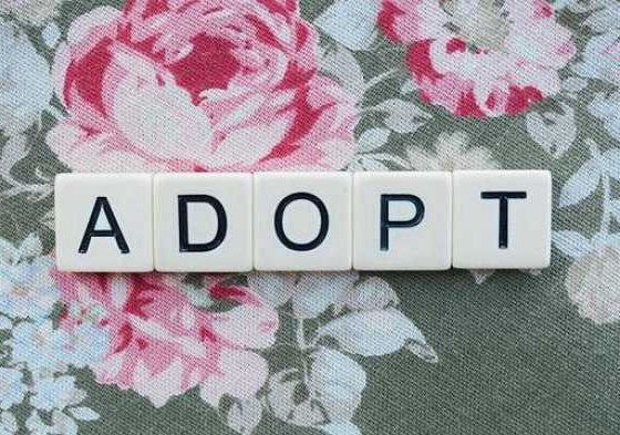 Adoption Journey: 6 Helpful Tips for Planning and Support