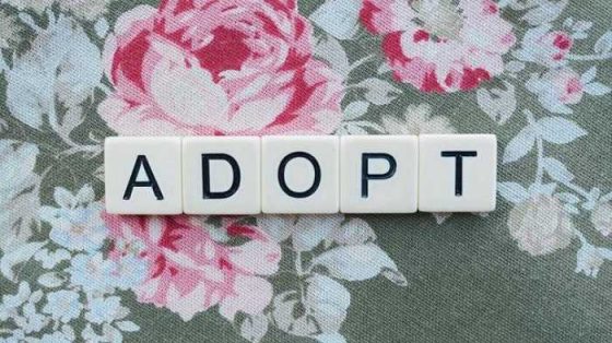 Adoption Tips: 6 Helpful Steps for Thoughtful Preparation