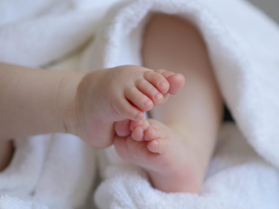 Montessori Instinct: A Helpful Profile and 4 Questions to Ask